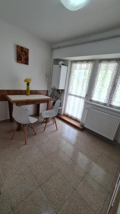 Vs Central Apartment Otopeni Dış mekan fotoğraf